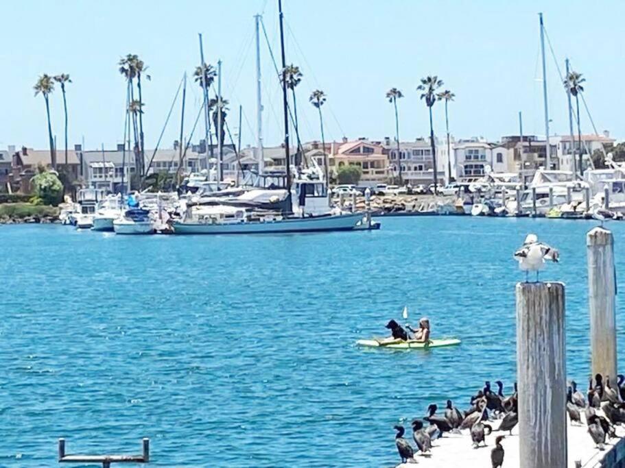 Gateway To Oxnard Beach Экстерьер фото